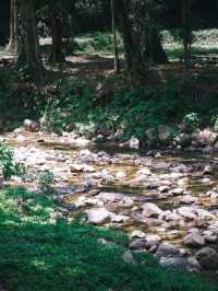 อุทยานแห่งชาติน้ำตกโยง อ.ทุ่งสง จ.นครศรีธรรมราช 