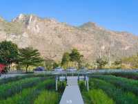 หุบป่าตาด bike camp  คาเฟ่และที่พักของนักปั่น