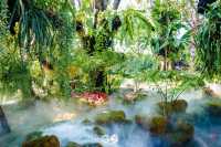 Muguet de Café & Art space