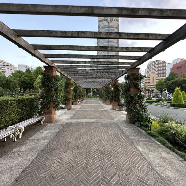 【横浜】夕方みなとみらい散歩・山下公園を散策