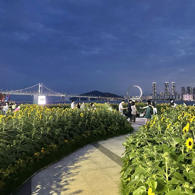 부산여행 광안리 해수욕장 해바라기 🌻