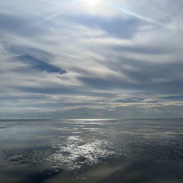 香山濕地浪漫海岸線 看招潮蟹 享受夕陽 騎腳踏車慢活