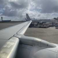 スカイマーク搭乗記【那覇→神戸空港】