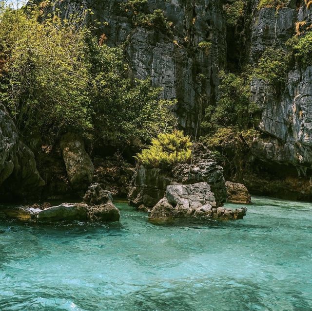 เกาะพีพี หนีเขา ไปทะเล 🌊