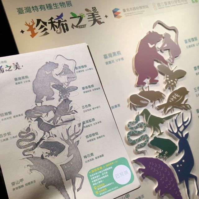 🌟 臺灣科學教育館 🌟 體驗科學 🌟