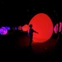 【超幻想的✨】大阪の自然アートが楽しめる癒しスポット！