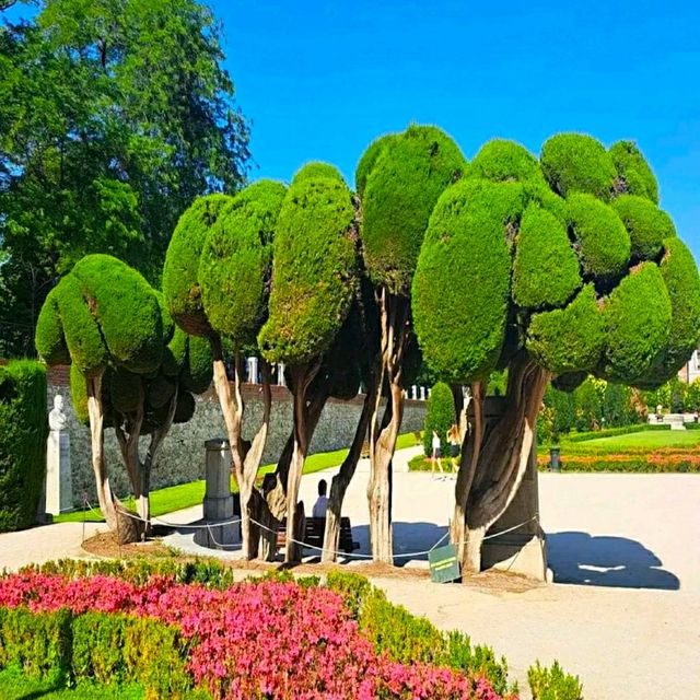 GREEN OASIS IN MADRID!