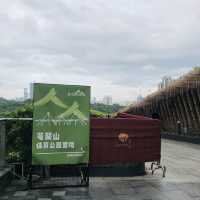 不一樣的公園