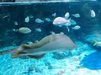 香港海洋公園