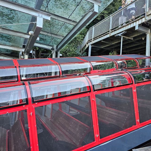 三種不同的纜車，欣賞藍山國家公園的美麗景觀🏔