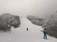 ❄️日本山形縣藏王山三種體驗：溫泉♨️滑雪⛷️樹冰❄️