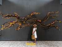 The ShellSea Krabi I Luxury Beach Resort 