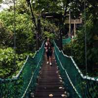 KL Forest Eco Park ❤️🇲🇾