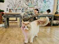Caturday Cat Cafe