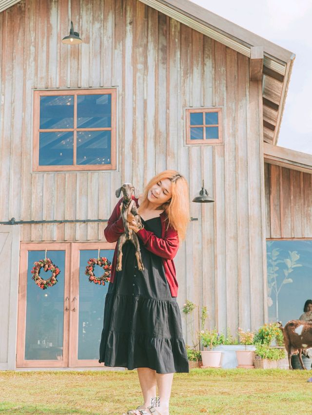 บูทีคฟาร์มสเตย์แบบชนบทเปิดใหม่อยู่สระบุรี