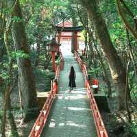 【大分】九州のパワースポット！宇佐八幡宮