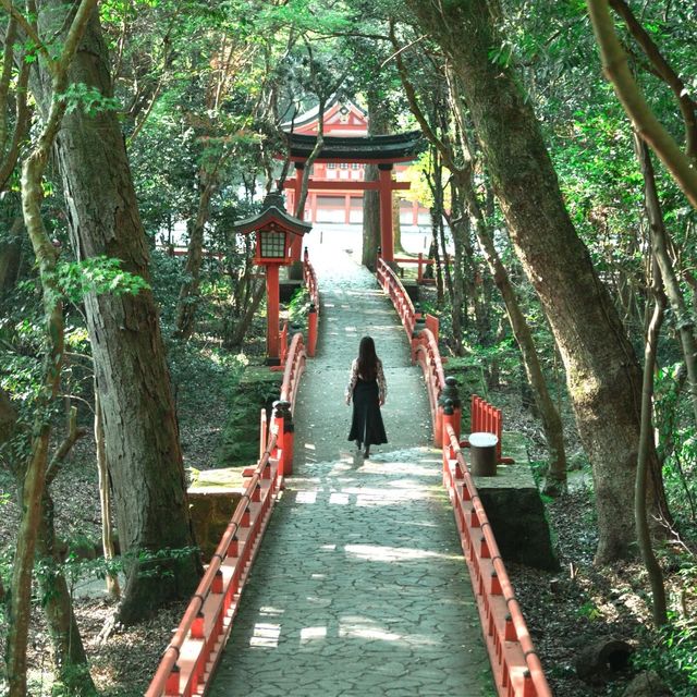 【大分】九州のパワースポット！宇佐八幡宮