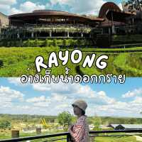 แลนมาร์คใหม่ของระยอง อ่างเก็บน้ำดอกกราย