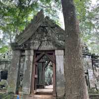 Beng Mealea, the junhle temple