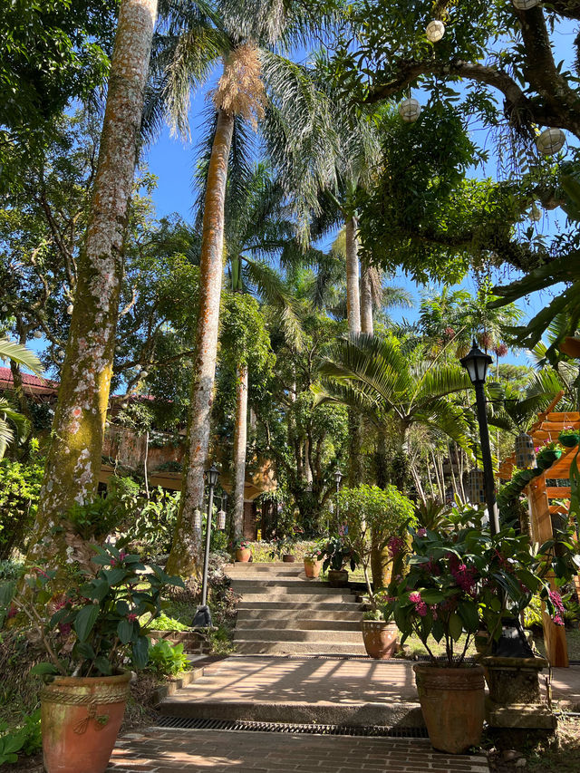 馬尼拉 大雅台Caleruega