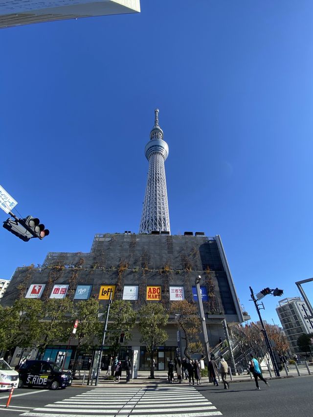 東京観光に外せないスカイツリータウン