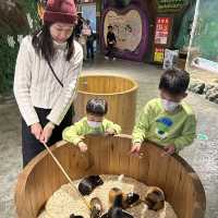 【 集玩樂動物園卡丁車的室內綜合樂園 】