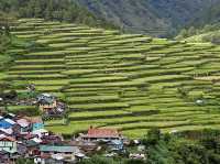 Tinglayan Rice Terraces