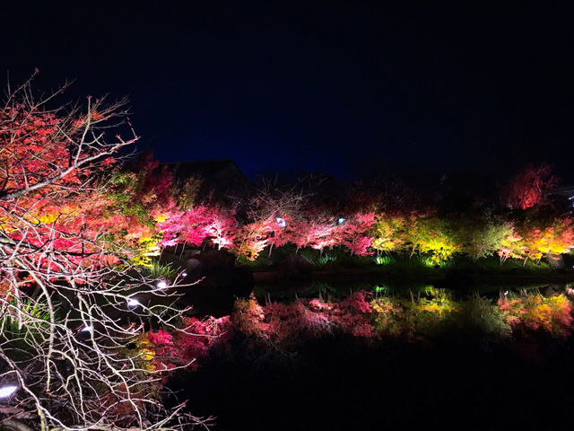 Jewellumination at Nabana no Sato