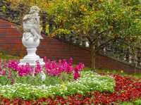 Acao Herb and Rose Garden