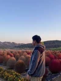 바다에 들어온 것 같은 공원 "임진강 댑싸리 공원"🌿