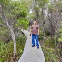 Royal national Watamolla beach Sydney Austral
