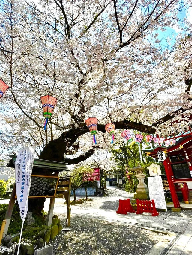 【居木神社/東京都】花散る桜吹雪が美しい神社