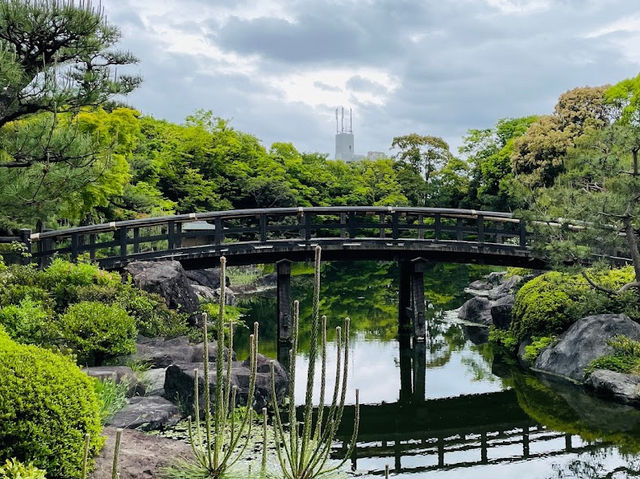 Well-maintained Traditional Japanese Garden