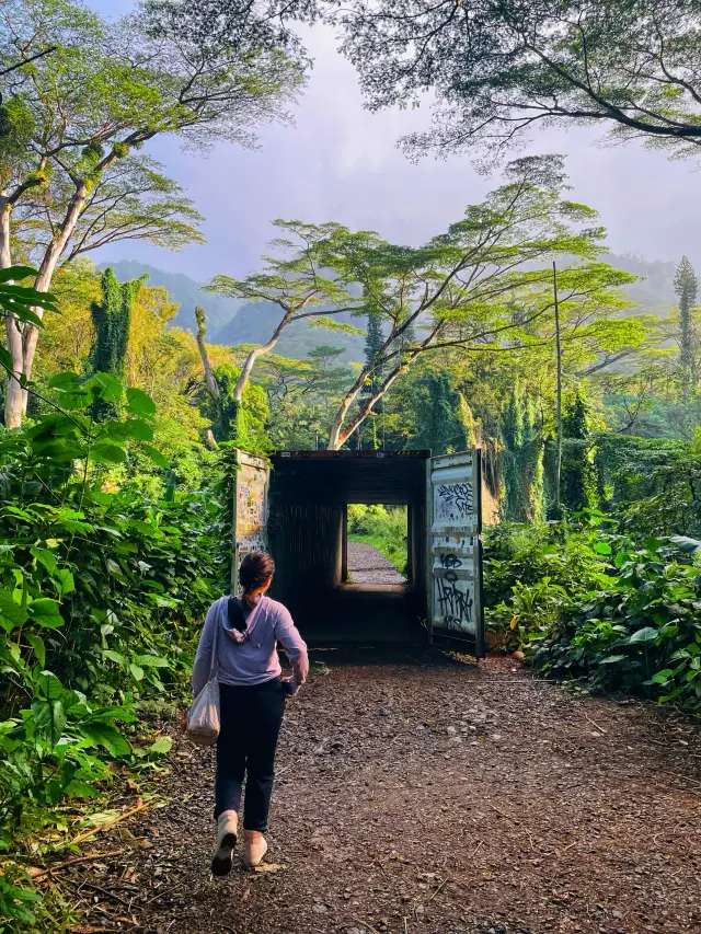 หัดเดินป่าที่ Manao falls Trail 