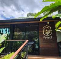 Into the forest คาเฟ่กลางหุบเขา 