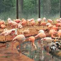 天王寺動物園～特色動物園