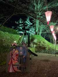 【新潟】一度は行きたい日本三大夜桜の観桜会