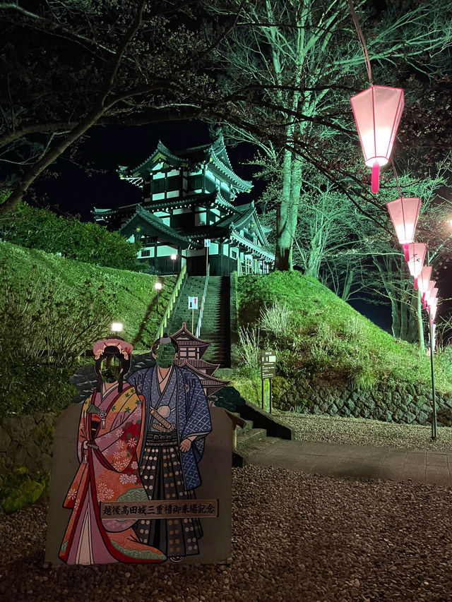【新潟】一度は行きたい日本三大夜桜の観桜会