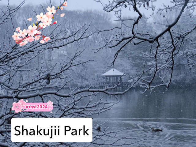 สวนชะกุจิอิ สวนสวยที่ซุกซ่อนอยู่ในโตเกียว