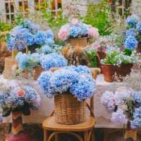  ปาฎีคาเฟ่ คาเฟ่ในสวนดอกไม้ สไตล์ยุโรป ระยอง