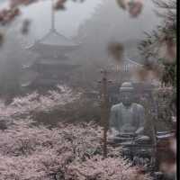 壺阪寺
