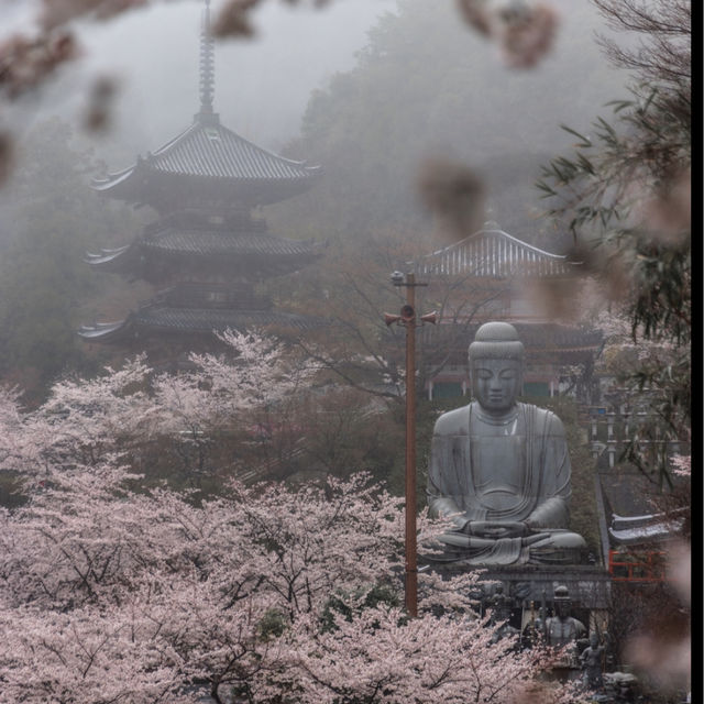 壺阪寺