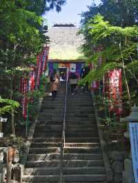 【東京】もうすぐ見頃‼️東京のはずれにある大きなつつじ園🌺