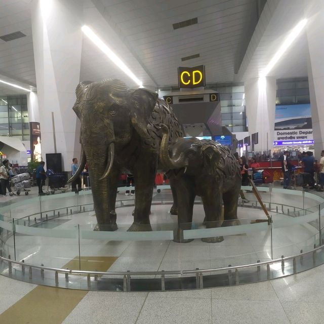 Wild Elephant at Delhi Airport