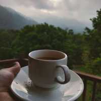 Nice View, Clean, Close to Nature
