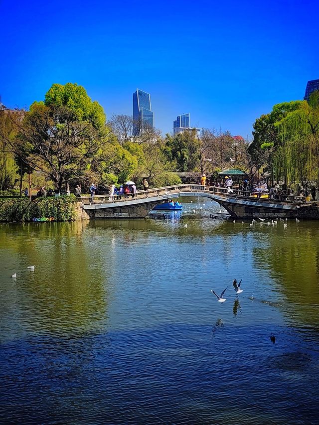 Green Lake Park