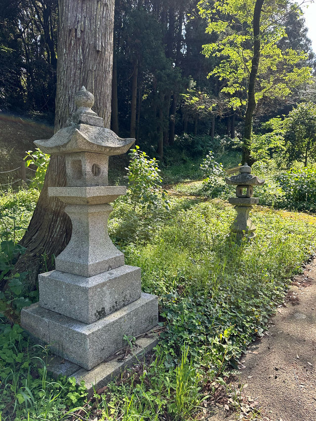 【福岡】北九州にあるお散歩しながら行ける神社