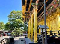 Ueno Toshogo Shrine