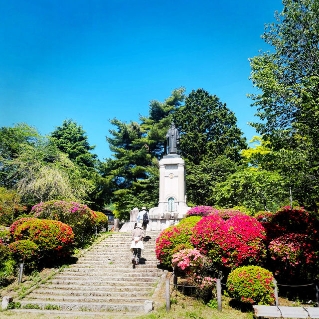 【長野県/岡谷　色とりどりのカラフルな”つつじ”が美しく咲き誇る 『鶴峯公園』】