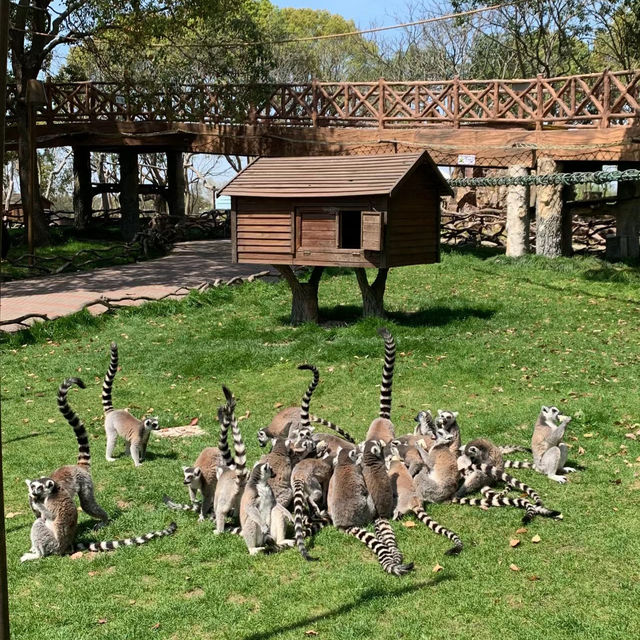 足立區生物園：多彩動物體驗